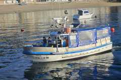IMG-20241202-WA0009