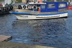 IMG-20241206-WA0008