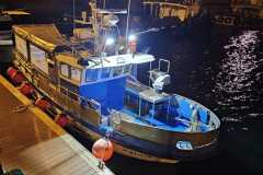 IMG-20241206-WA0012