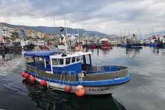 IMG-20241206-WA0014