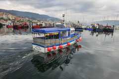 IMG-20241206-WA0016