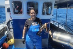 Pesca 7