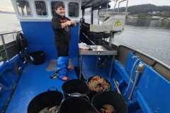 Pesca 12