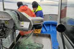 Pesca 1