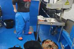 Pesca 4